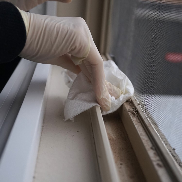 Cleaning services in Prosper, TX Cleaning services in Prosper, TX